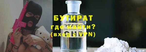 стаф Алексин