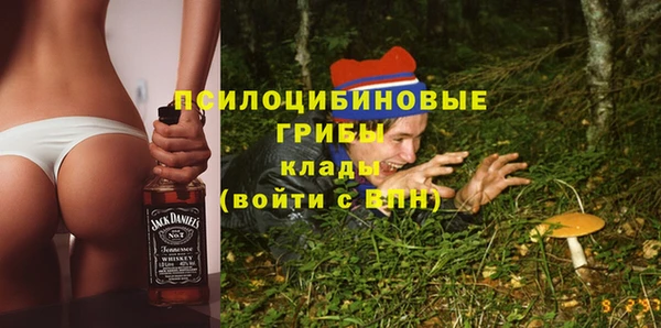стаф Алексин
