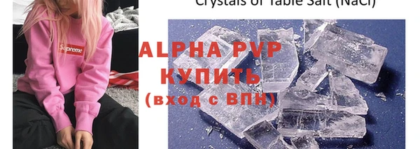стаф Алексин